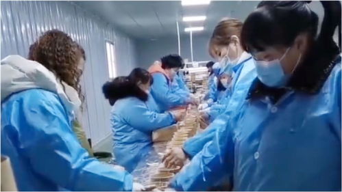 酸辣粉食品加工廠員工不帶 頭套手套 網(wǎng)友 起碼戴口罩了